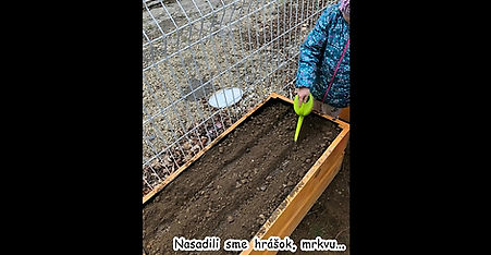 Ako si škôlkari záhradku urobili